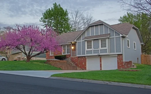 Home for Sale in Raymore Missouri