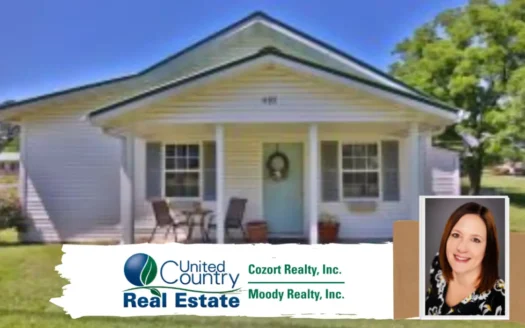 Updated Home in Town for Sale in Alton, Mo