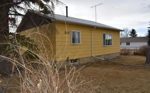 Conrad, Mt Home with Shop for Sale