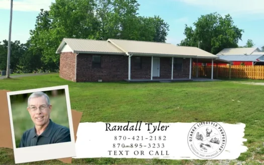 Ozarks in Town Home for Sale Salem Arkansas