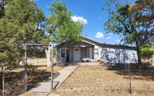 Mertzon, Texas Home for Sale