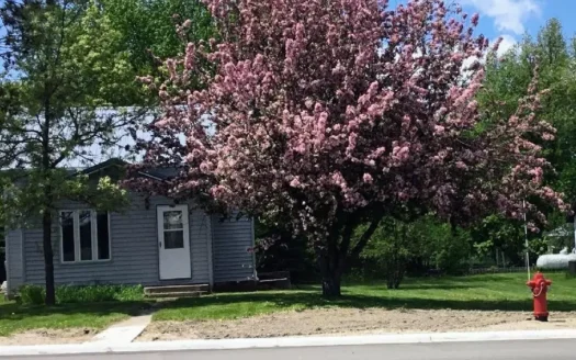 Northome Minnesota Koochiching County Small Town Living