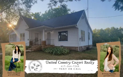Newly Remodeled Home in Town for Sale in Alton, Mo