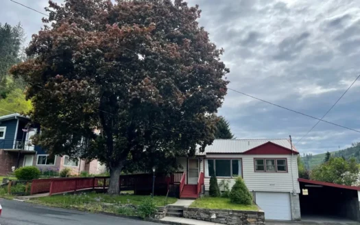 3 Bedroom Home in Orofino Id