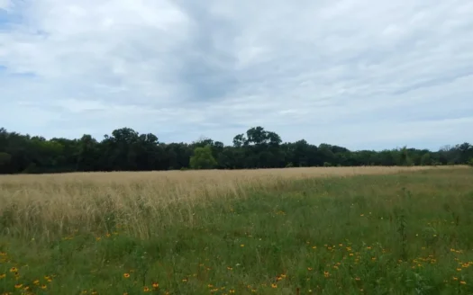 Residential Homesite Lots for Sale Bogata Tx