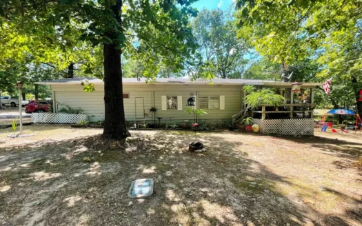 Investment Potential for Sale Ash Flat, Ar