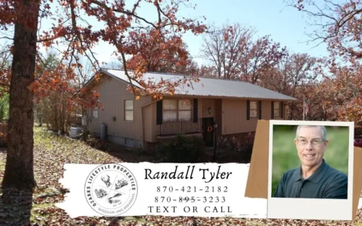 In Town Home for Sale Salem Arkansas