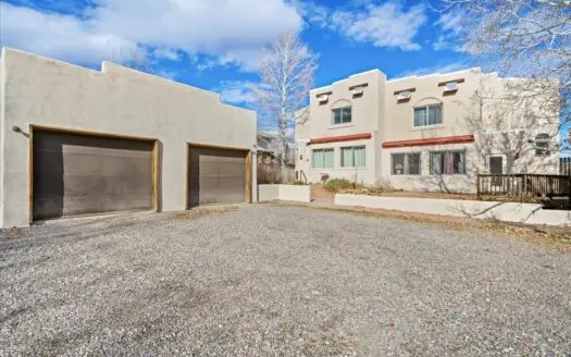 Duplex Opportunity for Sale in Ridgway, Colorado