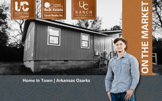 Home in Town for sale in Melbourne, Arkansas | Ozarks