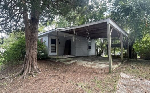 Williamston, NC Fixer Upper For Sale-Auction Ends December 1st