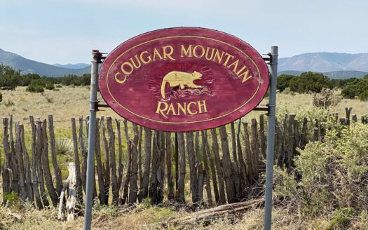 42-Acre Mountain Property – Cougar Mountain, NM