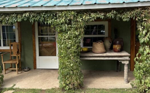 Charming Adobe Home Located in Northern New Mexico