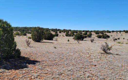 40 Elevated Acres with Sweeping Views