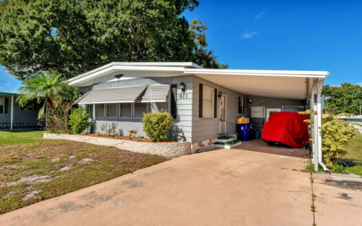 55+, Active Lifestyle, Lakefront, Central FL, Maintenance Free