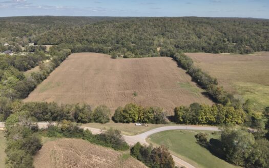 29.5 acres of farm land For Sale with year around creek!