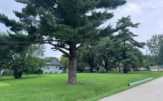 Cameron Mo Building Lots For Sale