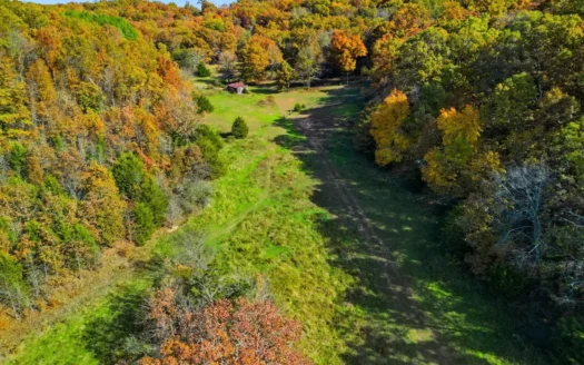 196 Acres in Dora MO – Home, Barn & Prime Hunting Land