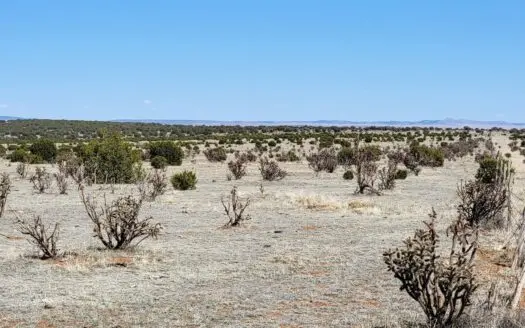 40 Acres in Manzano Foothills | Buildable New Mexico Land