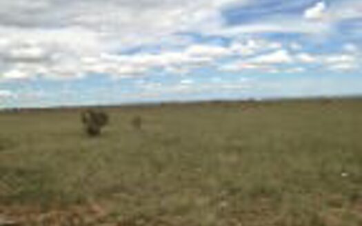 Private Oasis in Moriarty, NM: 2.86 Acre Residential Lot