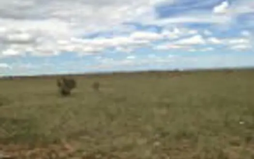 Private Oasis in Moriarty, NM: 2.86 Acre Residential Lot