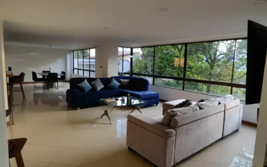 Embrace the Beauty of Green Views