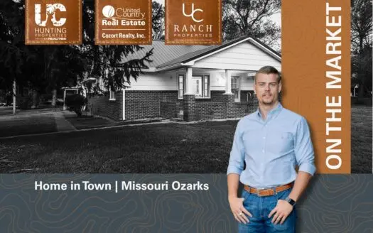 Home in Town for sale in Licking Missouri