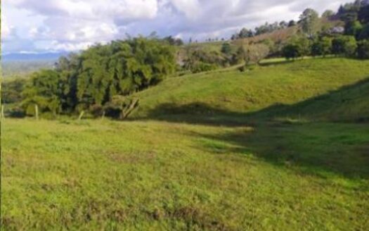 Premium and Exclusive Land Lot in El Tablazo, Near Equinox