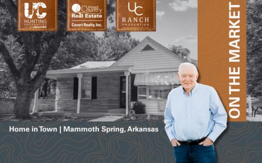 Home in Town for sale in the Arkansas Ozarks