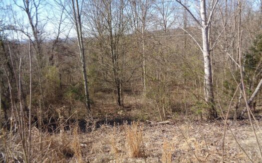 1.05 Acres For Sale in Rutledge, Tennessee