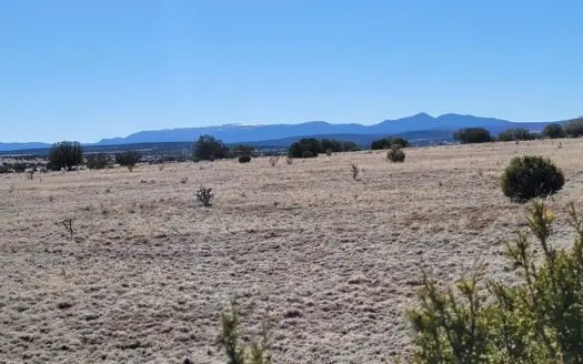 40 Acres of Prime Land in the Manzano Mountains