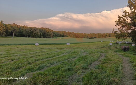 Cattle Ranching & Recreation on this Expansive 428-Acre Ranch