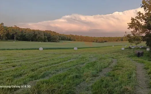 Cattle Ranching & Recreation on this Expansive 428-Acre Ranch