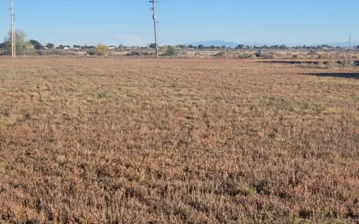 Build Ready Half Acre Lot in Moriarty New Mexico