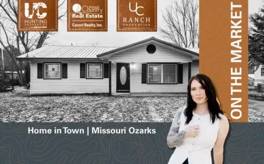 Home in Town in the City of Birch Tree, Missouri