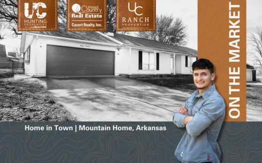Home in Town in the Arkansas Ozarks | Mountain Home