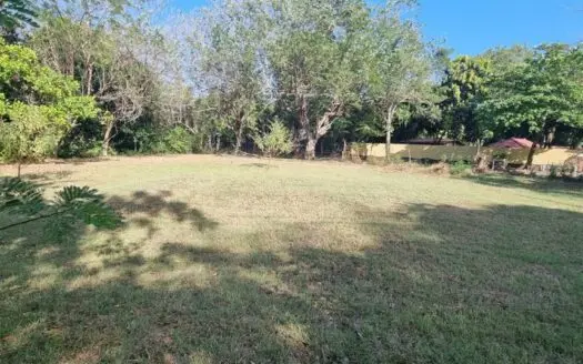 Prime Corner Lot in Nueva Gorgona – 1,000 m² on the Main Avenue