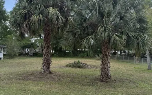 City Lot in the Heart of Trenton, Florida!