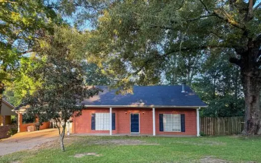 3 Bed 3 Bath Home in Town with Basement & Large Backyard