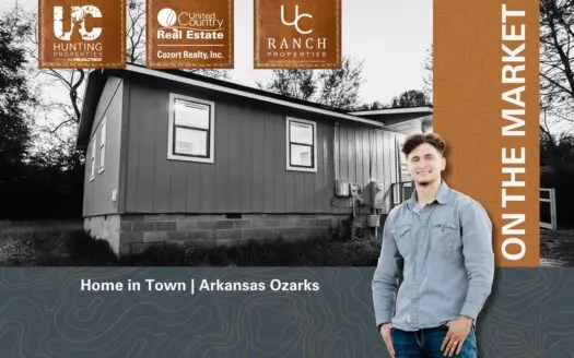 Home in Town for sale in Melbourne, Arkansas | Ozarks