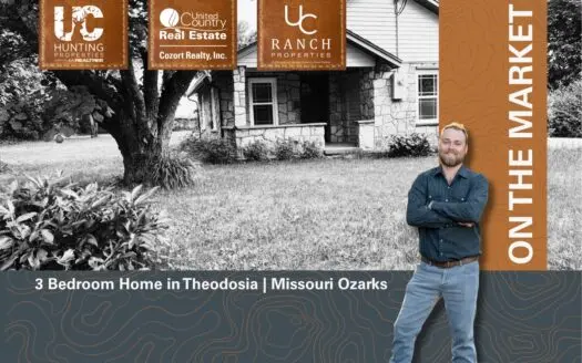 3 Bedroom Home in Theodosia | Missouri Ozarks