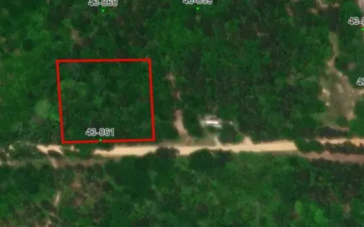 Lot #9 — No Restriction Lots – Beauregard, AL