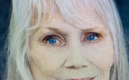 agent profile picture for Diane Stocking on Homes For Sale website