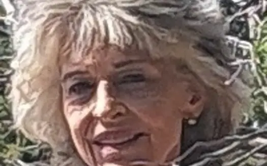 agent profile picture for Lissa Pinello on Homes For Sale website