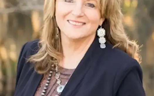agent profile picture for Vicki Foley on Homes For Sale website
