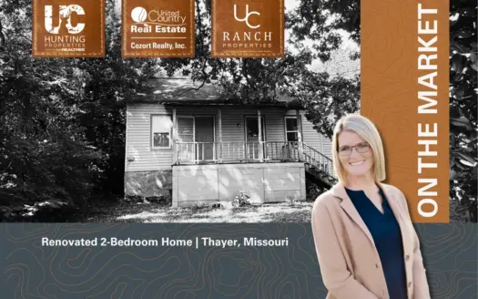 Renovated 2-Bedroom Home | Thayer, Missouri