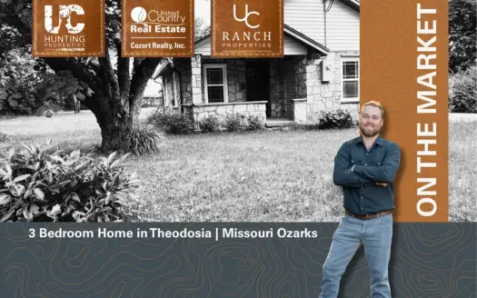 3 Bedroom Home in Theodosia | Missouri Ozarks