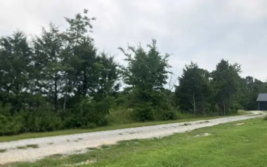 Bull Shoals Lake Lot Near Theodosia Marina