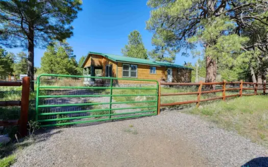 Cabin-Style Home For Sale in the Heart of Chama, New Mexico