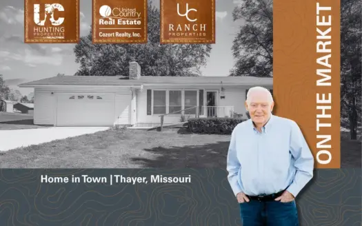 Home in Town for sale in Thayer, Missouri