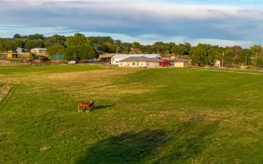 Hotchkiss, CO Horse Property for Sale with Home & Shop